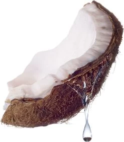 Maybelline Total Temptation Waterproof Mascara - 001 Zwart -Cosmetica Discountwinkel 1051x1200